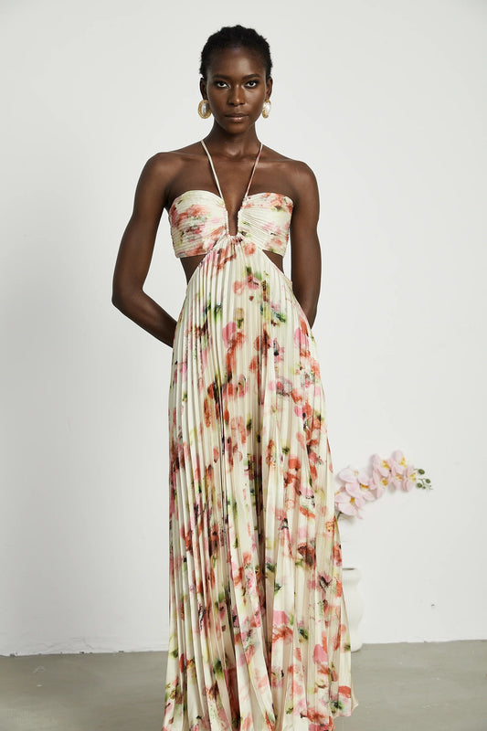 Andrea Cut-Out Floral-Print Pleated Maxi Dress
