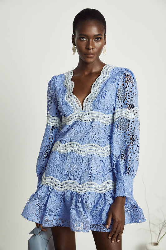 Gaelle V-Neck Floral Embroidered Mini Dress