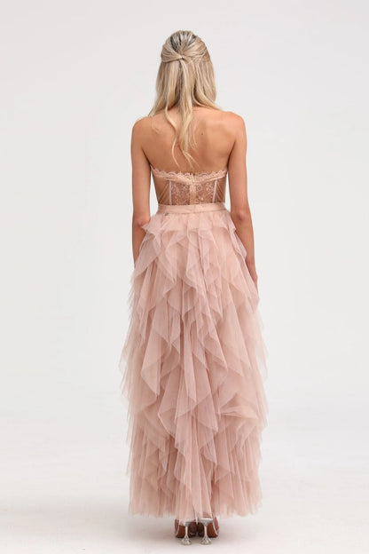 Eilis Pink Bustier Mesh Maxi Dress