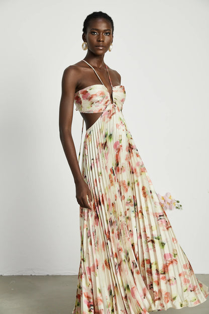 Andrea Cut-Out Floral-Print Pleated Maxi Dress