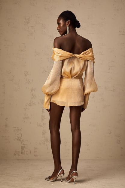 Adelina Gold Crystal-Embellished Panelled Mini Dress