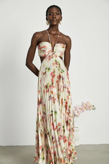 Andrea Cut-Out Floral-Print Pleated Maxi Dress