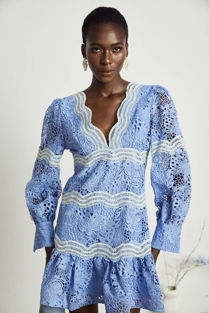 Gaelle V-Neck Floral Embroidered Mini Dress