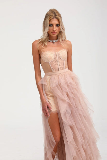 Eilis Pink Bustier Mesh Maxi Dress